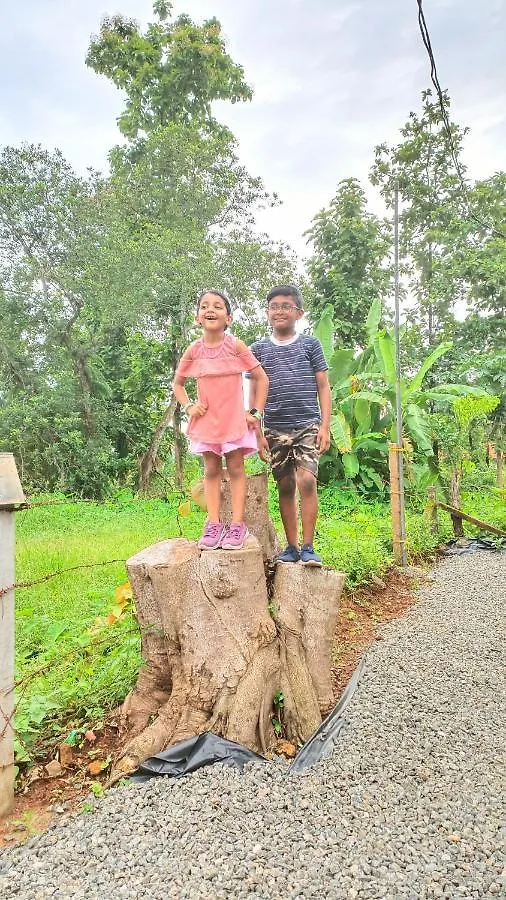 Skylark Holidays Munnar Hotel
